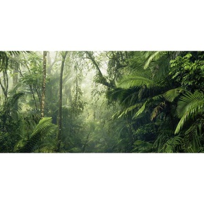 Komar Vliestapete , Betonoptik , 500x250 cm , FSC MIX , Tapeten Shop, Vliestapeten