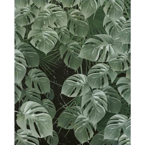 Komar Vliestapete, Blätter, 200x250 cm, FSC Mix, Tapeten Shop, Vliestapeten