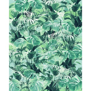 Komar Vliestapete, Blätter, 200x250 cm, FSC Mix, Tapeten Shop, Vliestapeten
