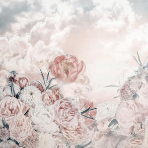 KOMAR Vliestapete Blossom Clouds Tapeten 250x250 cm (Breite x Höhe) Gr. B/L: 250 m x 250 m, Rollen: 1 St., bunt (rosa, weiß, blau) Blumentapeten