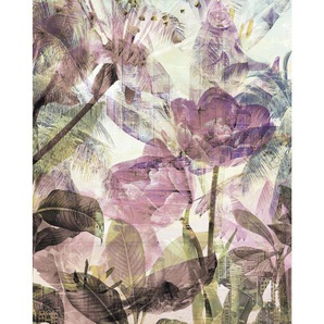 Komar Vliestapete, Blume, 200x250 cm, FSC Mix, Tapeten Shop, Vliestapeten
