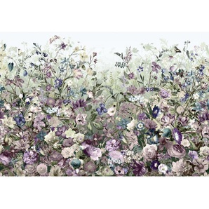Komar Vliestapete Botanica , Mehrfarbig , Papier , Blume , 368x248 cm , Made in Germany, FSC MIX , Tapeten Shop, Vliestapeten