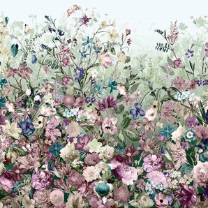 KOMAR Vliestapete Botanica Tapeten 368x248 cm (Breite x Höhe), inklusive Kleister Gr. B/L: 368 m x 248 m, Rollen: 1 St., bunt Blumentapeten