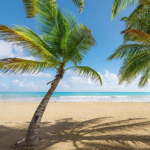 Komar Vliestapete Digitaldruck Vlies - Caribbean Days II - Größe 450 x 280 cm, glatt, bedruckt, (9 St), Wohnzimmer, Schlafzimmer
