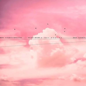 KOMAR Vliestapete Cloud Wire Tapeten 400x250 cm (Breite x Höhe), Vliestapete, 100 cm Bahnbreite Gr. B/L: 400 m x 250 m, Rollen: 1 St., rosa Vliestapeten