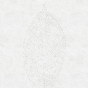 KOMAR Vliestapete Decent Leaf Tapeten 200x280 cm (Breite x Höhe), Vliestapete, 100 cm Bahnbreite Gr. B/L: 200 m x 280 m, Rollen: 1 St., grau (weiß, grau) Blumentapeten