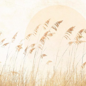 Komar Vliestapete Digitaldruck Vlies - Dune Grass - Größe 400 x 250 cm, glatt, bedruckt, (1 St), Wohnzimmer, Schlafzimmer