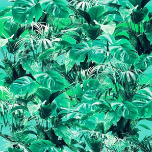 KOMAR Vliestapete Evergreen Tapeten Gr. B/L: 200 m x 250 m, Rollen: 1 St., grün Vliestapeten