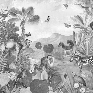 KOMAR Vliestapete Flora and Fauna Tapeten 350x250 cm (Breite x Höhe) Gr. B/L: 350 m x 250 m, Rollen: 1 St., schwarz (schwarz, weiß) Vliestapeten