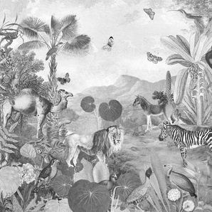 KOMAR Vliestapete Flora and Fauna Tapeten Gr. B/L: 350 m x 250 m, Rollen: 1 St., schwarz (schwarz, weiß) Vliestapeten