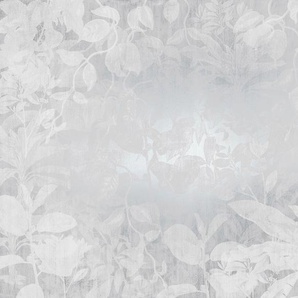 KOMAR Vliestapete Flora Tapeten 400x280 cm (Breite x Höhe) Gr. B/L: 400 m x 280 m, Rollen: 1 St., grau (silber, grau, weiß) Blumentapeten