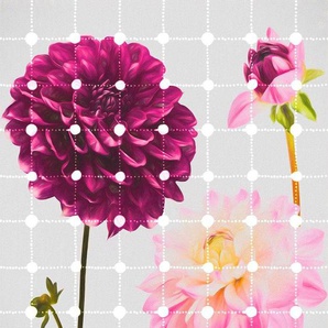 KOMAR Vliestapete Flowers & Dots Tapeten 200x250 cm (Breite x Höhe), Vliestapete, 100 cm Bahnbreite Gr. B/L: 200 m x 250 m, Rollen: 1 St., bunt Blumentapeten