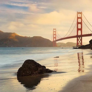 KOMAR Vliestapete Golden Gate Tapeten Gr. B/L: 400 m x 260 m, Rollen: 1 St., bunt (bunt, braun) Vliestapeten