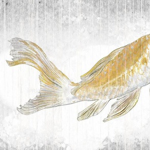 Komar Vliestapete Digitaldruck Vlies - Golden Koi - Größe 400 x 280 cm, glatt, bedruckt, Wohnzimmer, Schlafzimmer