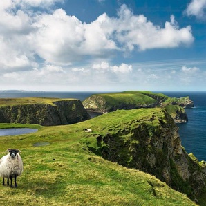 Komar Vliestapete Digitaldruck Vlies - Green Ireland - Größe 450 x 280 cm, glatt, bedruckt, (9 St), Wohnzimmer, Schlafzimmer