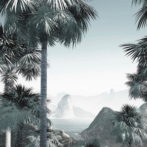 Komar Vliestapete Digitaldruck Vlies - Guanabara - Größe 400 x 280 cm, glatt, bedruckt, Wohnzimmer, Schlafzimmer