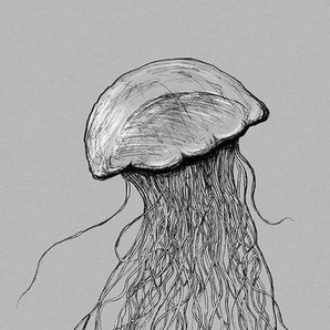 Komar Vliestapete Jellyfish Panel, (1 St), 100x250 cm (Breite x Höhe), Vliestapete, 100 cm Bahnbreite