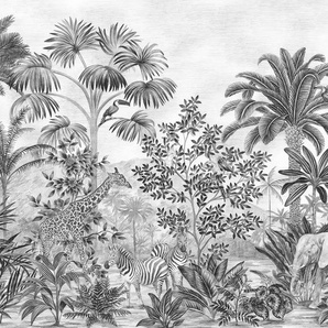KOMAR Vliestapete Jungle Evolution Tapeten 350x280 cm (Breite x Höhe) Gr. B/L: 350 m x 280 m, Rollen: 1 St., schwarz (schwarz, weiß) Vliestapeten