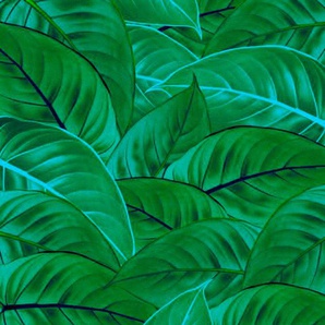 KOMAR Vliestapete Jungle Leaves Tapeten 200x250 cm (Breite x Höhe), Vliestapete, 100 cm Bahnbreite Gr. B/L: 200 m x 250 m, Rollen: 1 St., grün Vliestapeten