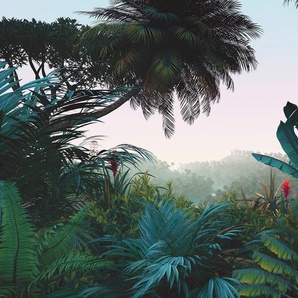 KOMAR Vliestapete Jungle Morning Tapeten 400x250 cm (Breite x Höhe) Gr. B/L: 400 m x 250 m, Rollen: 1 St., bunt Blumentapeten