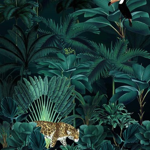 KOMAR Vliestapete Jungle Night Tapeten 200x250 cm (Breite x Höhe) Gr. B/L: 200 m x 250 m, Rollen: 1 St., grün (grün, schwarz) Vliestapeten