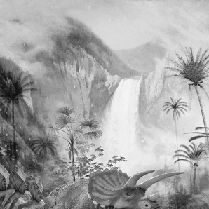 KOMAR Vliestapete Jurassic Waterfall Tapeten 200x280 cm (Breite x Höhe) Gr. B/L: 200 m x 280 m, Rollen: 1 St., schwarz (schwarz, weiß) Vliestapeten
