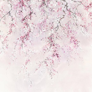Komar Vliestapete Digitaldruck Vlies - Kirschblüten - Größe 300 x 280 cm, glatt, bedruckt, Wohnzimmer, Schlafzimmer