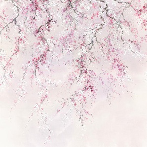 KOMAR Vliestapete Kirschblüten Tapeten 300x280 cm (Breite x Höhe) Gr. B/L: 300 m x 280 m, Rollen: 1 St., rosa (rosa, weiß) Blumentapeten