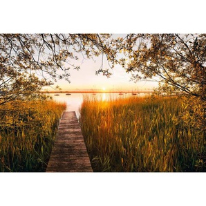 Komar Vliestapete Lakeside , Papier , 368x248 cm , Made in Germany, FSC MIX , Tapeten Shop, Vliestapeten
