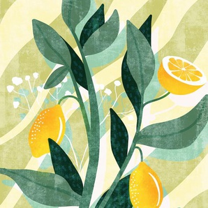 KOMAR Vliestapete Lemon Fresh Tapeten 200x250 cm (Breite x Höhe) Gr. B/L: 200 m x 250 m, Rollen: 1 St., bunt (gelb, grün, blau) Blumentapeten