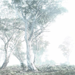KOMAR Vliestapete Magic Trees Tapeten 300x280 cm (Breite x Höhe), Vliestapete, 100 cm Bahnbreite Gr. B/L: 300 m x 280 m, Rollen: 1 St., weiß (weiß, blau) Vliestapeten