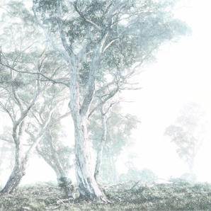 KOMAR Vliestapete Magic Trees Tapeten Gr. B/L: 300 m x 280 m, Rollen: 1 St., weiß (weiß, blau) Vliestapeten