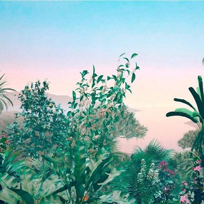 Komar Vliestapete Matin, glatt, naturalistisch