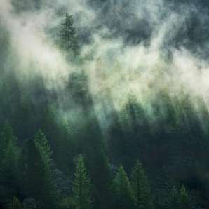 Komar Vliestapete Digitaldruck Vlies - Misty Crowns - Größe 350 x 250 cm, glatt, bedruckt, Wohnzimmer, Schlafzimmer