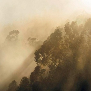 Komar Vliestapete Misty Mountain, glatt, naturalistisch, 400x250 cm (Breite x Höhe), Vliestapete, 100 cm Bahnbreite