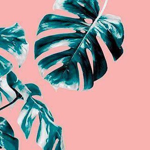 Komar Vliestapete Digitaldruck Vlies - Monstera Rosé Panel - Größe 100 x 250 cm, glatt, bedruckt, (1 St), Wohnzimmer, Schlafzimmer