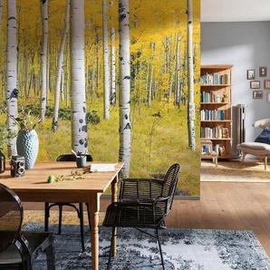 Komar Vliestapete Orange Forest, glatt, naturalistisch, 400x250 cm (Breite x Höhe), Vliestapete, 100 cm Bahnbreite