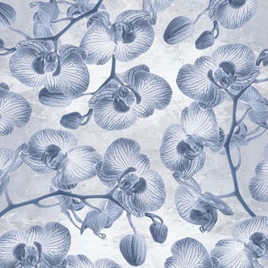 KOMAR Vliestapete Orchidée Tapeten 200x250 cm (Breite x Höhe) Gr. B/L: 200 m x 250 m, Rollen: 1 St., blau (blau, weiß) Blumentapeten