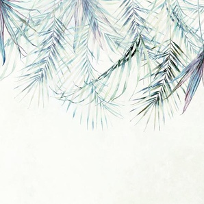KOMAR Vliestapete Palm Spring Tapeten 350x250 cm (Breite x Höhe) Gr. B/L: 350 m x 250 m, Rollen: 1 St., bunt Blumentapeten