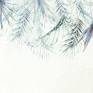 KOMAR Vliestapete Palm Spring Tapeten Gr. B/L: 350 m x 250 m, Rollen: 1 St., bunt Blumentapeten