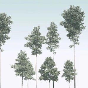 KOMAR Vliestapete Pines Tapeten Gr. B/L: 400 m x 280 m, Rollen: 1 St., bunt (grün, blau, weiß) Blumentapeten