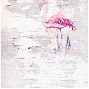 Komar Vliestapete Pink Flamingo, (1 St), 200x250 cm (Breite x Höhe), Vliestapete, 100 cm Bahnbreite