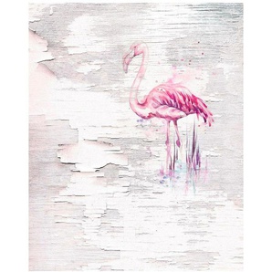 KOMAR Vliestapete Pink Flamingo Tapeten 200x250 cm (Breite x Höhe), Vliestapete, 100 cm Bahnbreite Gr. B/L: 200 m x 250 m, Rollen: 1 St., weiß Vliestapeten