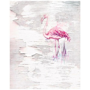 KOMAR Vliestapete Pink Flamingo Tapeten 200x250 cm (Breite x Höhe), Vliestapete, 100 cm Bahnbreite Gr. B/L: 200 m x 250 m, Rollen: 1 St., weiß Vliestapeten