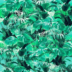 Komar Vliestapete Evergreen, (1 St), 200x250 cm (Breite x Höhe), Vliestapete, 100 cm Bahnbreite