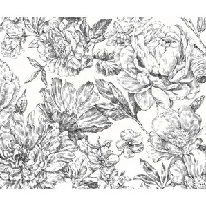 Komar Vliestapete, Schwarz, Weiß, Floral, 300x250 cm, Fsc, Tapeten Shop, Vliestapeten