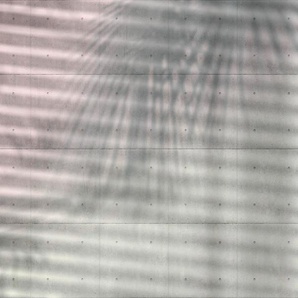 KOMAR Vliestapete Shadows Tapeten Gr. B/L: 3,68 m x 2,48 m, braun Türtapeten Tapeten