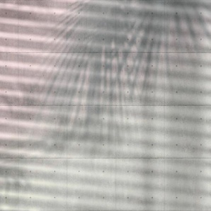 KOMAR Vliestapete Shadows Tapeten Gr. B/L: 368 m x 248 m, Rollen: 1 St., braun Vliestapeten