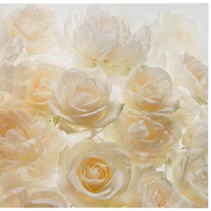 KOMAR Vliestapete Shalimar Tapeten 368x248 cm (Breite x Höhe), inklusive Kleister Gr. B/L: 368 m x 248 m, Rollen: 1 St., bunt (bunt, weiß) Blumentapeten