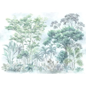 KOMAR Vliestapete Silva Tapeten 350x250 cm (Breite x Höhe) Gr. B/L: 350 m x 250 m, Rollen: 1 St., bunt (grün, blau, weiß) Blumentapeten